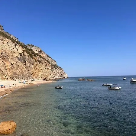 Spacious Ocean View, Pool And Garage *